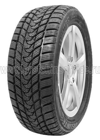 Шины Delinte Winter WD1